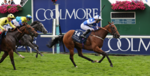 YORK GROUP ONE RACE ENTRIES CONFIRMED