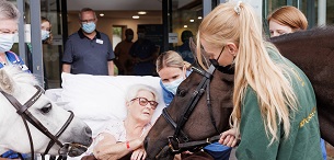 ‘HORSEY HUGS’ DELIVERED TO ST LEONARD'S HOSPICE BY GOLDREAM