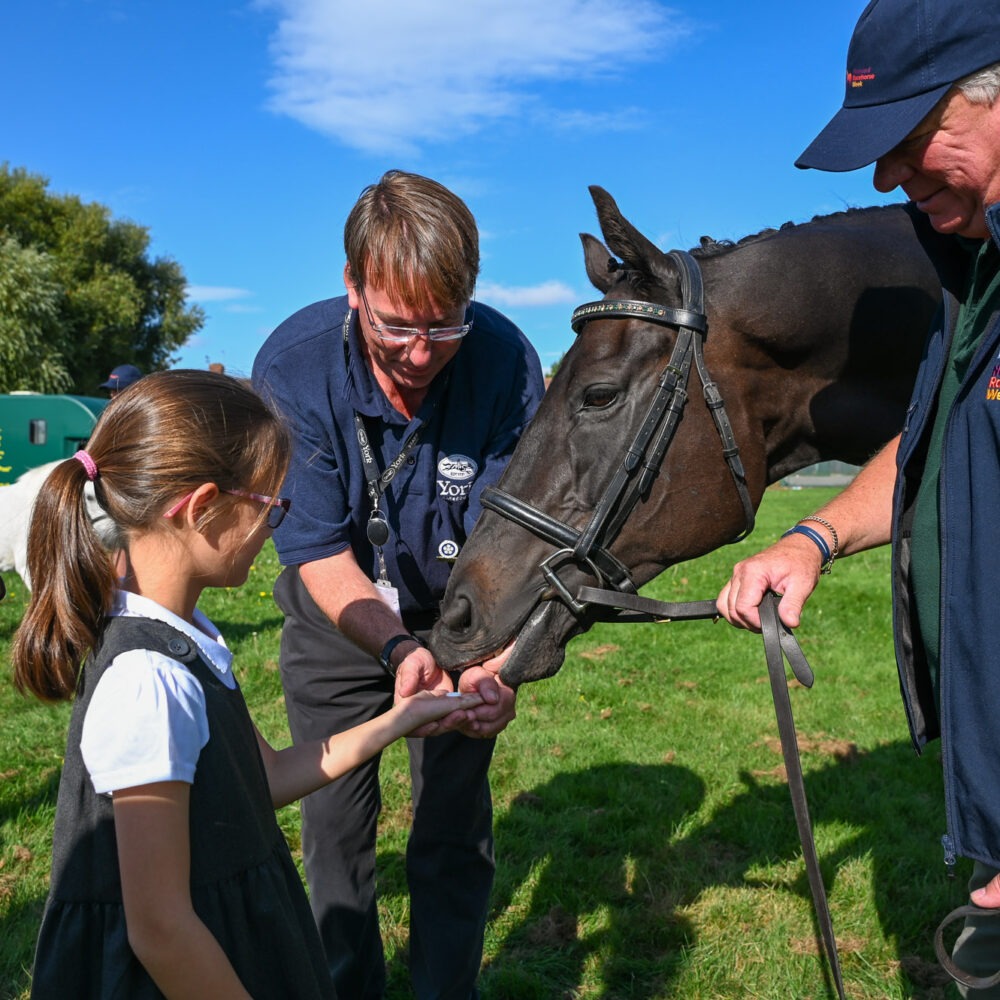 Children interacting with a horse at York Racecourse